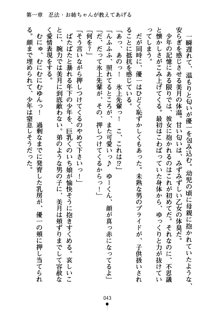 しゅごにん！ -守護忍- くのいちパラダイス, 日本語