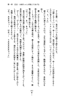 しゅごにん！ -守護忍- くのいちパラダイス, 日本語