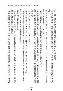 しゅごにん！ -守護忍- くのいちパラダイス, 日本語