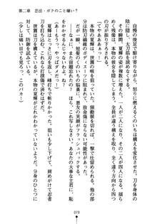 しゅごにん！ -守護忍- くのいちパラダイス, 日本語