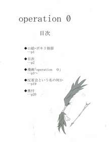 operation 0, 日本語