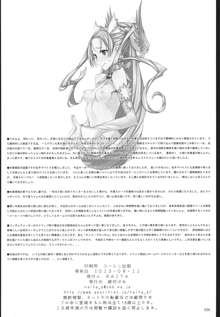 魔法少女11.0, 日本語