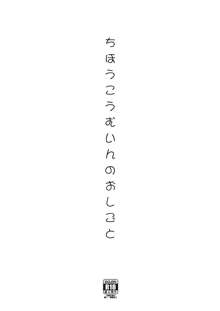 ちほうこうむいんのおしごと, 日本語