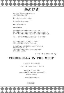 CINDERELLA IN THE MELT, 日本語