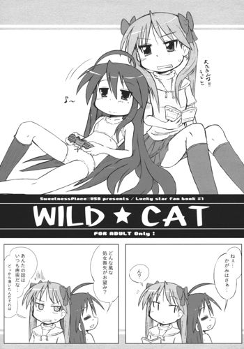 WILD CAT, 日本語