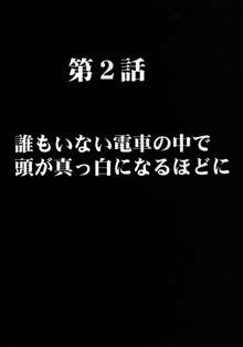 ヴァージントレインII 第1部 小悪魔制裁, 日本語