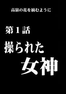 ヴァージンコントロール 高嶺の花を摘むように, 日本語