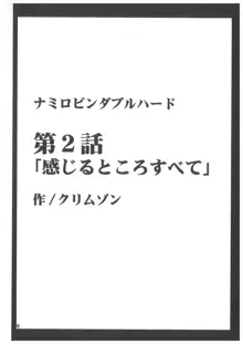 航海総集編2, 日本語