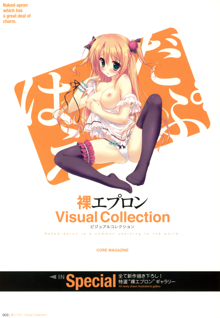 裸エプロンVisual Collection, 日本語