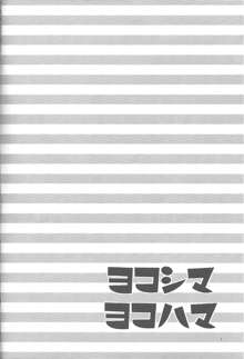 ヨコシマヨコハマ, 日本語