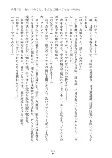 いもうとダイアリー はぁれむばけ～しょん, 日本語