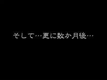 真面目なクラス委員長を調教して肉便器にしてみた, 日本語