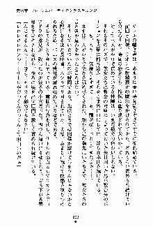 守ってセイントシスター, 日本語