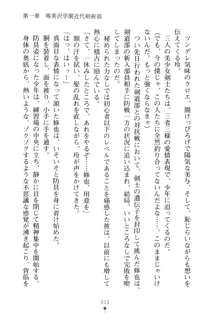 もののふガールズⅡ 姉妹剣士がお相手します, 日本語