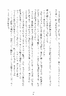 魔法少女の育て方 お兄ちゃんはハイポーション, 日本語