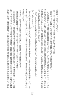 学園さきゅばすパニック おしえて退魔先生, 日本語