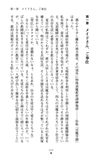 学園さきゅばすパニック おしえて退魔先生, 日本語