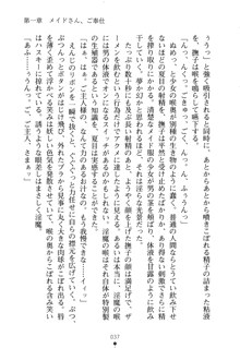 学園さきゅばすパニック おしえて退魔先生, 日本語