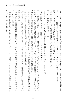 ハーレムパラディン, 日本語