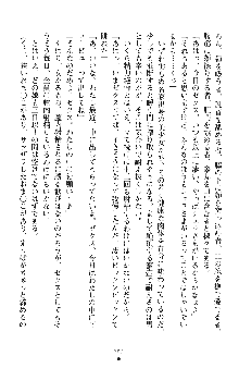 ハーレムパラディン, 日本語