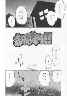 あぽくり!, 日本語