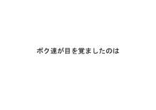 桃花学園の校則, 日本語