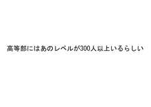 桃花学園の校則, 日本語