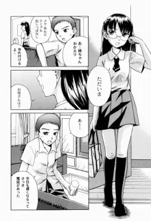 実姉双姦ルート, 日本語