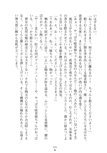 メイドなお姉さんはいかがですか？, 日本語