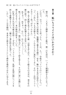 メイドなお姉さんはいかがですか？, 日本語