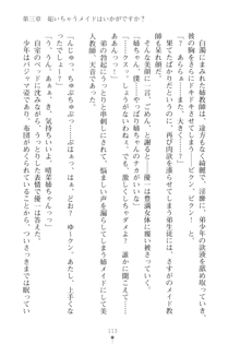 メイドなお姉さんはいかがですか？, 日本語