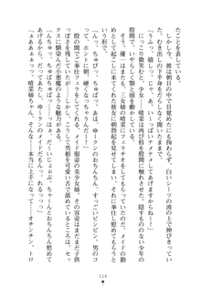 メイドなお姉さんはいかがですか？, 日本語