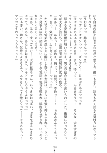 メイドなお姉さんはいかがですか？, 日本語