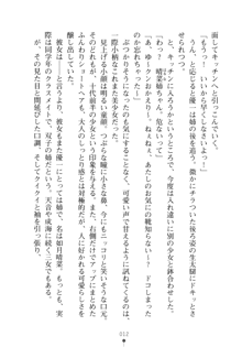 メイドなお姉さんはいかがですか？, 日本語