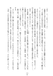 メイドなお姉さんはいかがですか？, 日本語