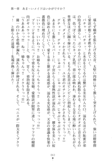 メイドなお姉さんはいかがですか？, 日本語