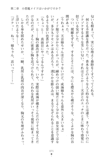 メイドなお姉さんはいかがですか？, 日本語