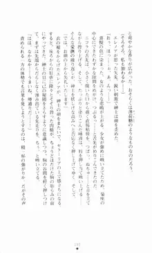 堕とされし聖鎧, 日本語