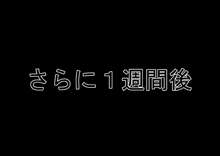 痴漢冤罪されたJ〇を廃屋に監禁して好き放題してみた, 日本語