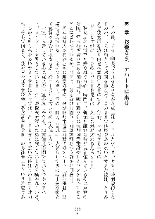 お姫さまといっしょ どきどき同棲ライフ, 日本語