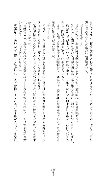 武闘巫女伝サツキ, 日本語