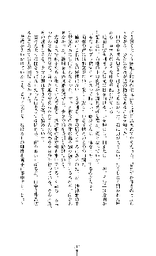 武闘巫女伝サツキ, 日本語