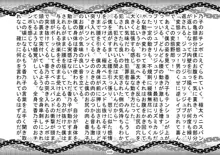 S嬢様に変える監獄実験, 日本語