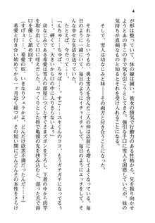 俺と幼なじみと妹の仲を生徒会長が邪魔をする, 日本語