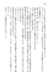 俺と幼なじみと妹の仲を生徒会長が邪魔をする, 日本語