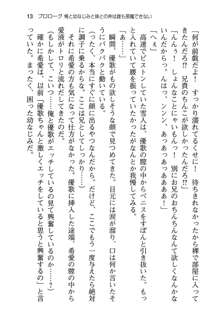 俺と幼なじみと妹の仲を生徒会長が邪魔をする, 日本語