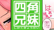 四角兄妹～ちょっとだけ角ばった世界のおはなし～, 日本語