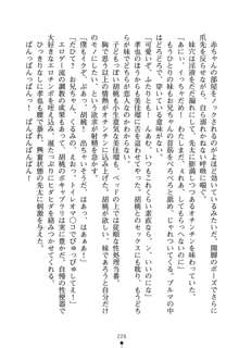 いもうとエロゲー 義妹と実妹も攻略可能？, 日本語