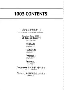 1003 サイクロンの総集編 3, 日本語