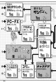 ときめきトぅルーラブひなHeartの雫へようこそ!!, 日本語